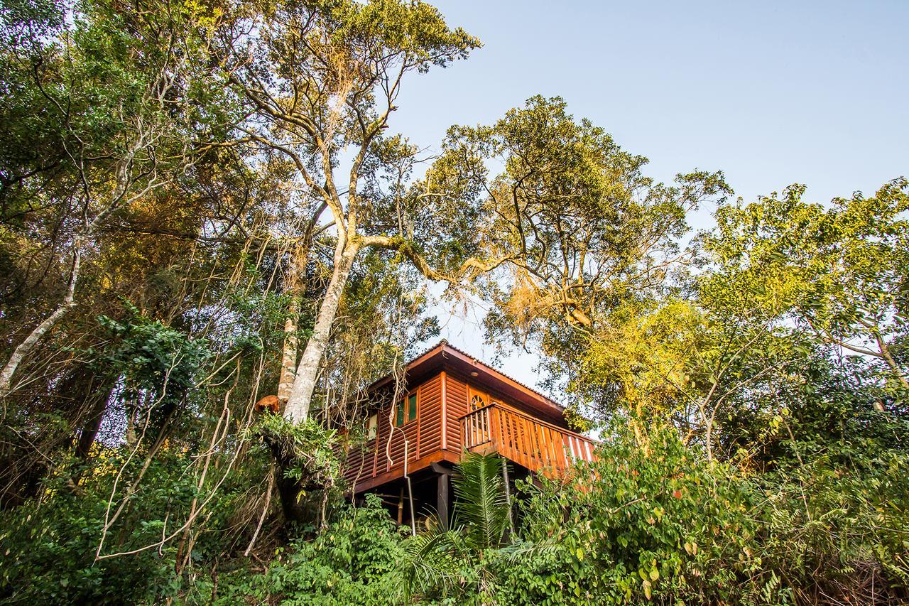 Mtunzini Forest Lodge Self Catering Resort Exterior photo